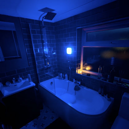 Looma Light
